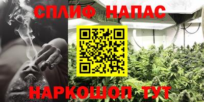 метадон Новозыбков
