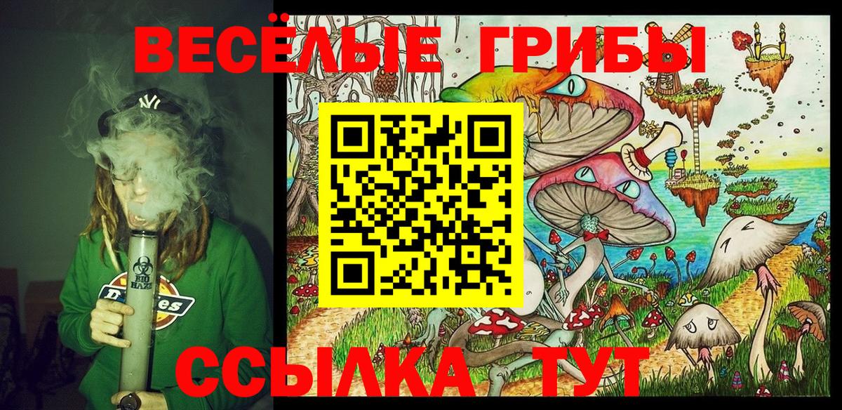 Галлюциногенные грибы Magic Shrooms Ростов-на-Дону